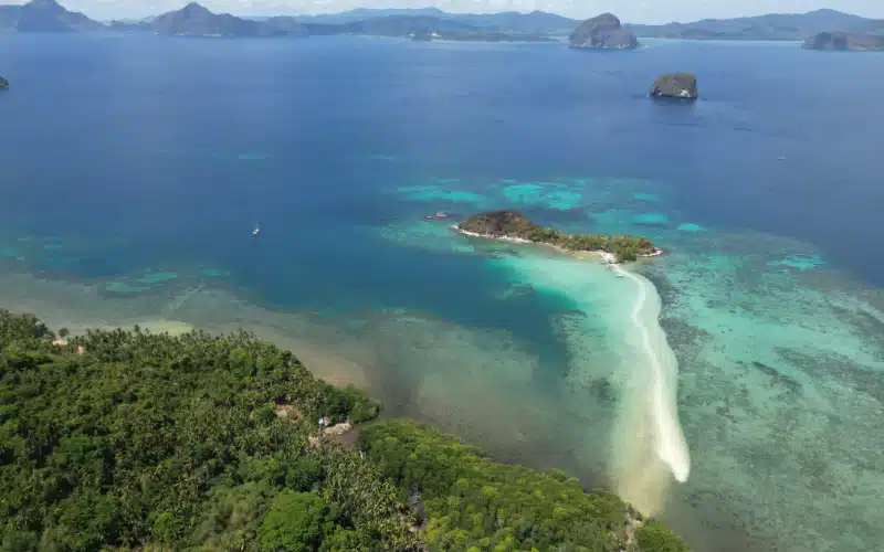 SnaKe Island (1)