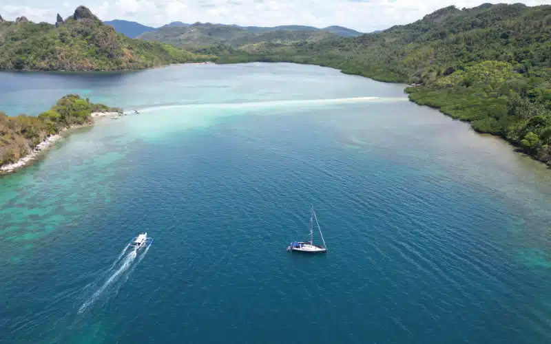 SnaKe Island (3)