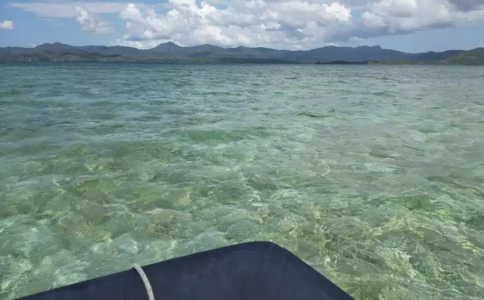 Dibuluan Island (1)