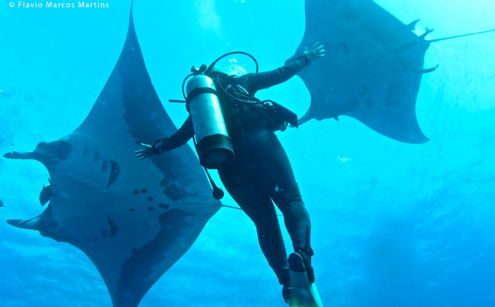 Sibaltan-Manta-Ray-Diving-1-2.jpg